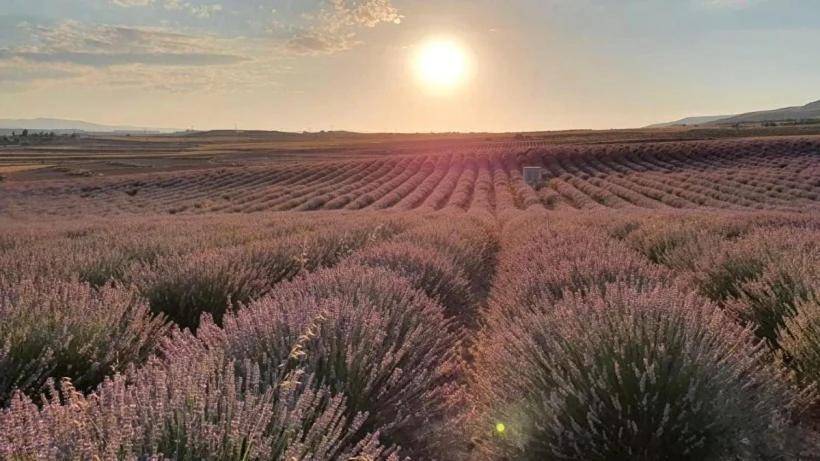 Apartmán Disfruta Teruel Exteriér fotografie